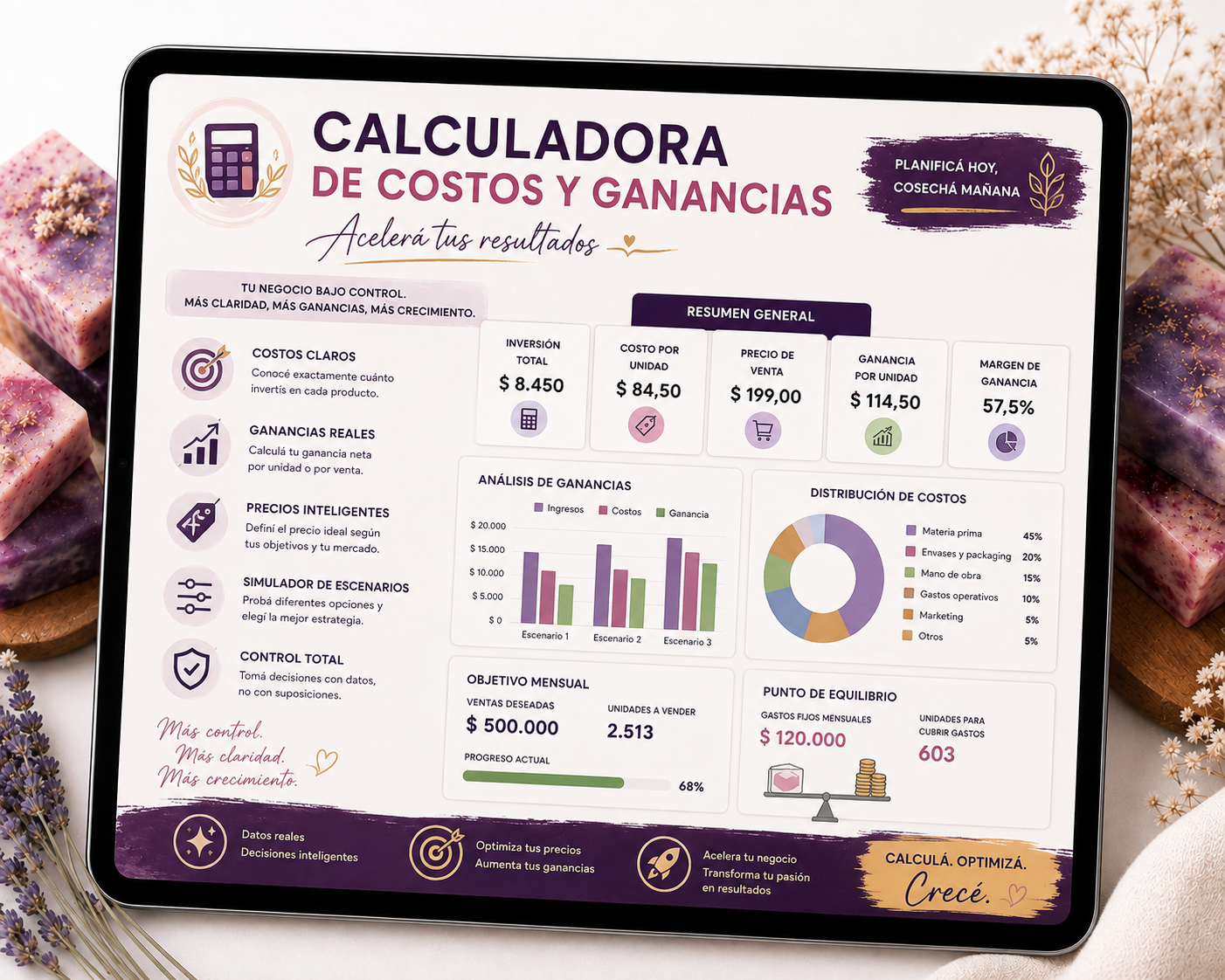 📊 Centro de Control para Emprendedoras de Jabonería